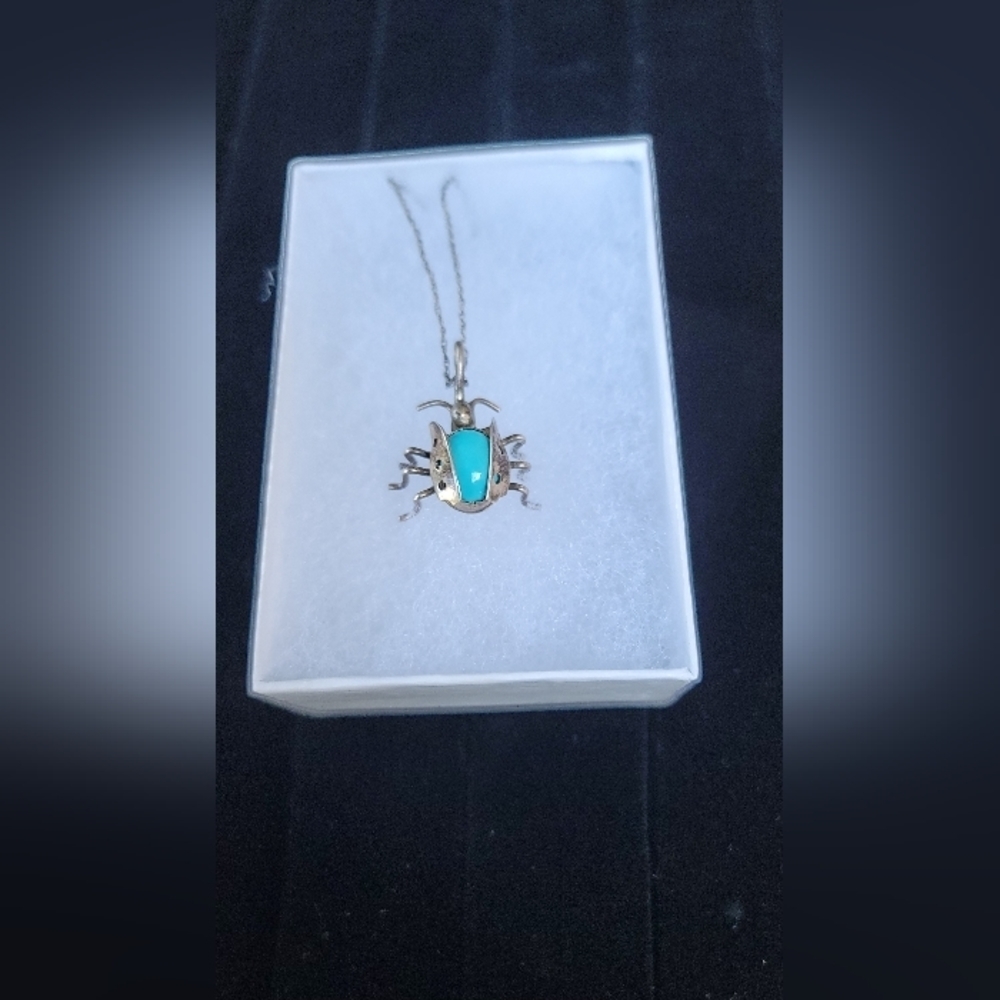 Native American Sterling Lady Bug Pendant w/925 Sun Necklace (Item 120)